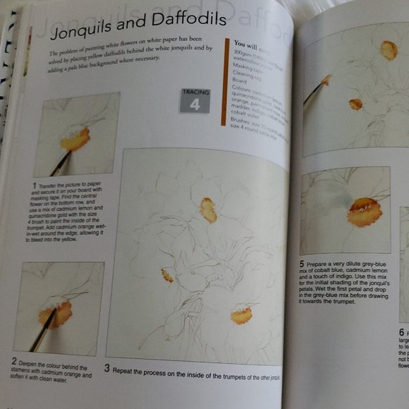 Ready to Paint Series: Ready to Paint Watercolour Flowers by Wendy Tait (2008) - Picture 9 of 11